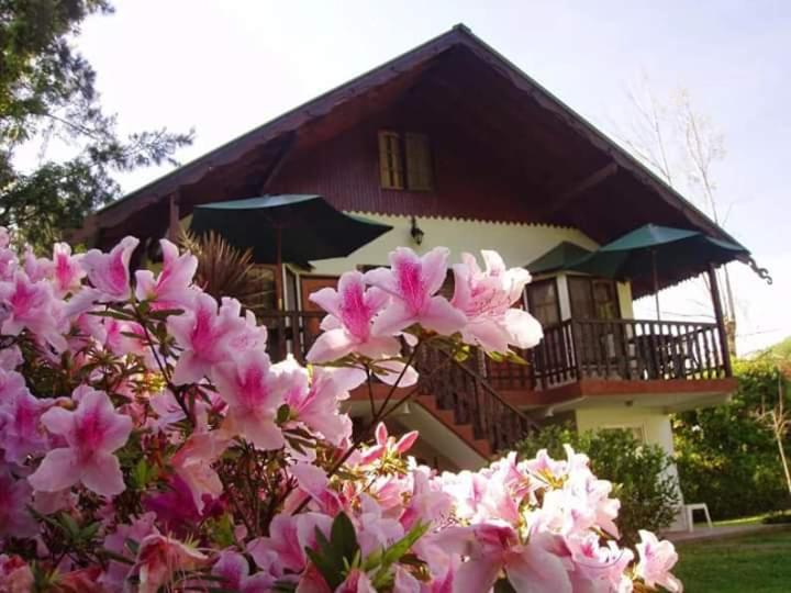 バルコニー付きデラックスルーム, Alpenhaus Bier Und Gasthaus