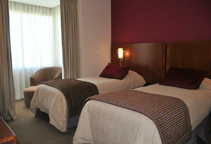 Standaardkamer Aangepast voor Gehandicapten, Antu Malal