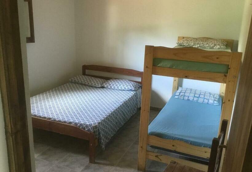 Номер Стандарт, Tree House Hostel