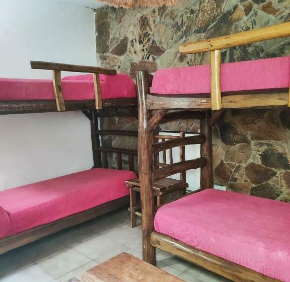 标准三人间, Club Hostel Jujuy