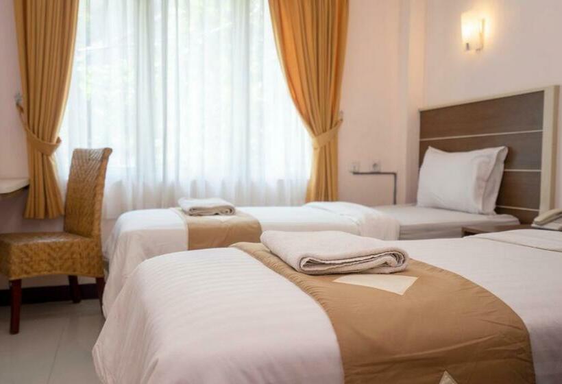 Cameră Superioară, Dago's Hill