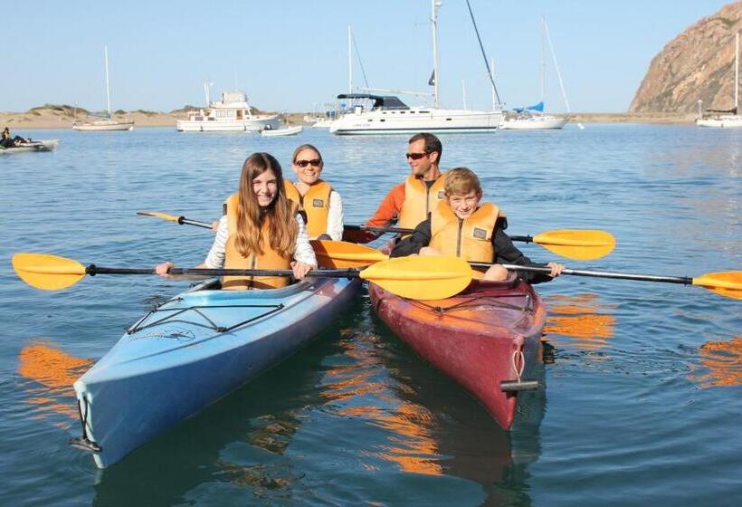 جناح جونيور مزوَّد بتراس, Harborwalk Inn