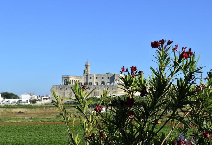 Номер Стандарт, San Giovanni