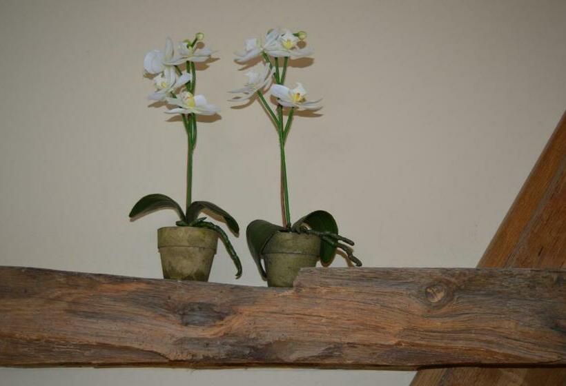 コンフォートルーム, De Martiene Plats B&b & Appartement