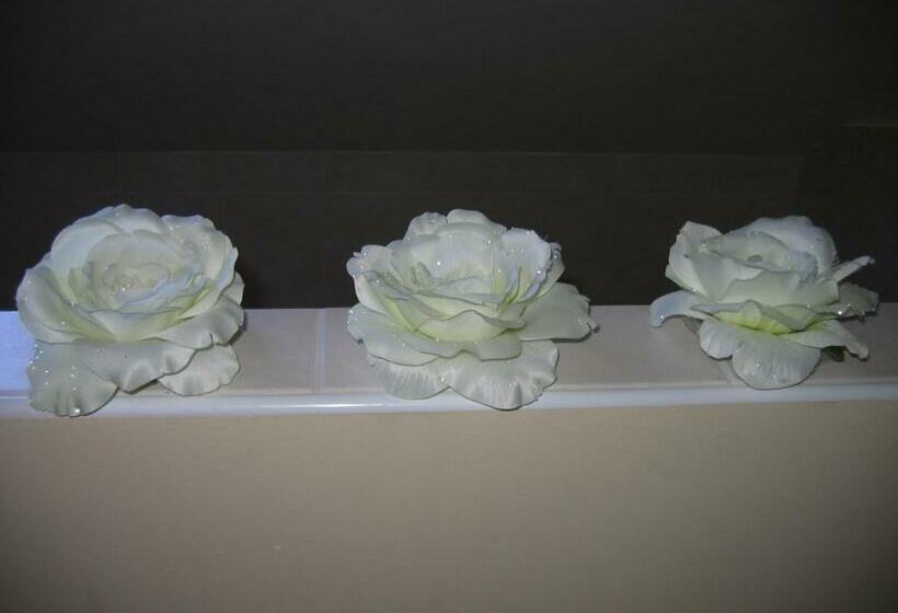 コンフォートルーム, De Martiene Plats B&b & Appartement