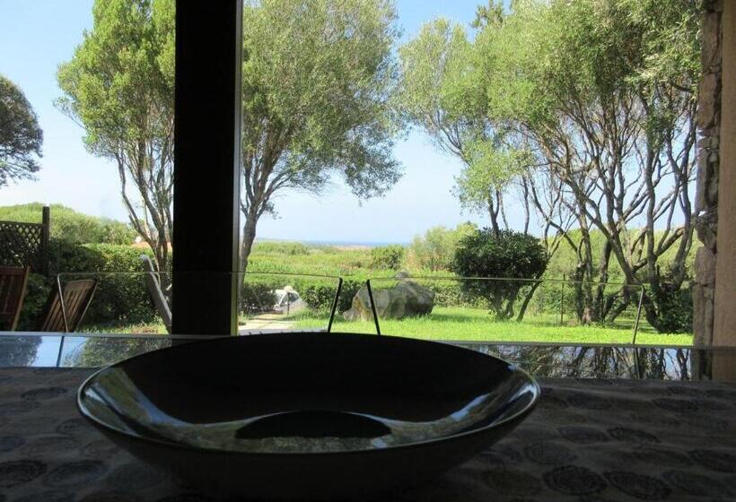 דירת 2 חדרים סופריור, Il Nido Dei Gabbiani