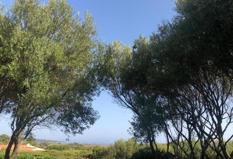 דירת 2 חדרים סופריור, Il Nido Dei Gabbiani