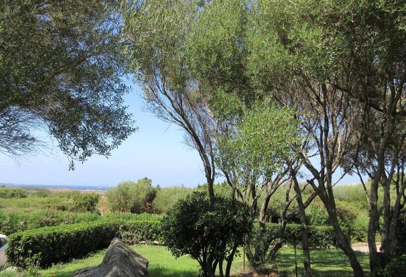 آپارتمان سوپریور 2 خوابه, Il Nido Dei Gabbiani