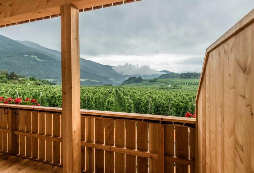 اتاق خانوادگی, Jonathan