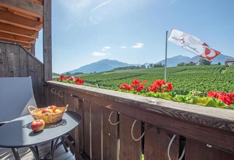 اتاق استاندارد با چشمانداز کوهستان, Jonathan