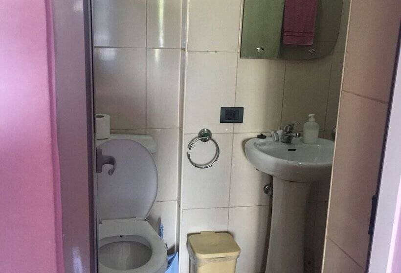 经济四人房间, Star