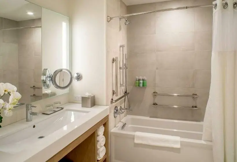 Standard-invahuone King-vuode, Limelight Hotel Ketchum