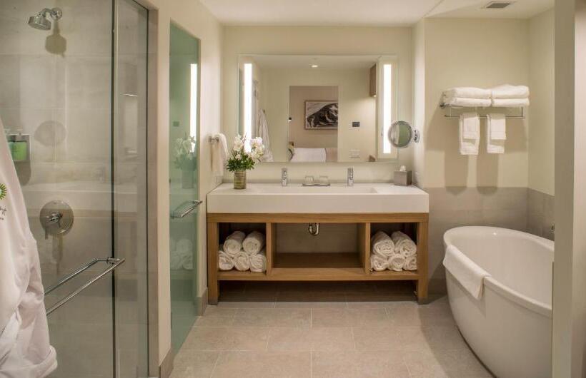 جناح سرير كينج, Limelight Hotel Ketchum