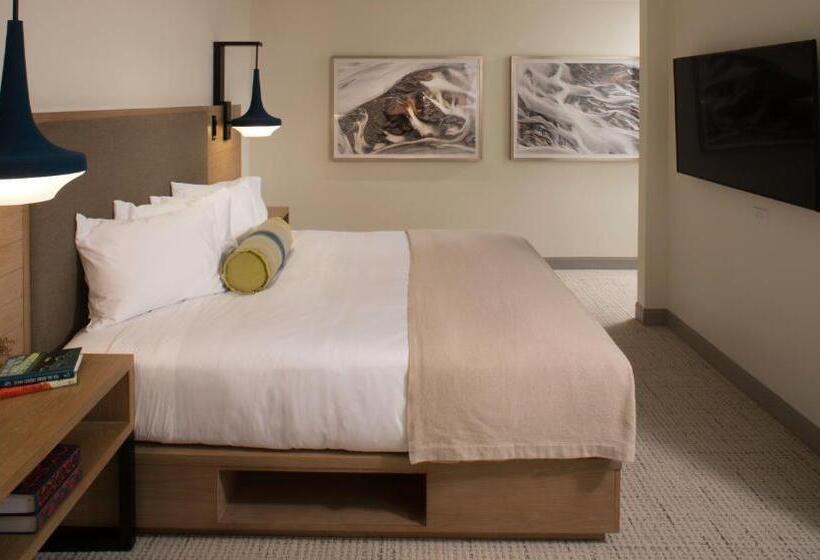 带大床的套房, Limelight Hotel Ketchum