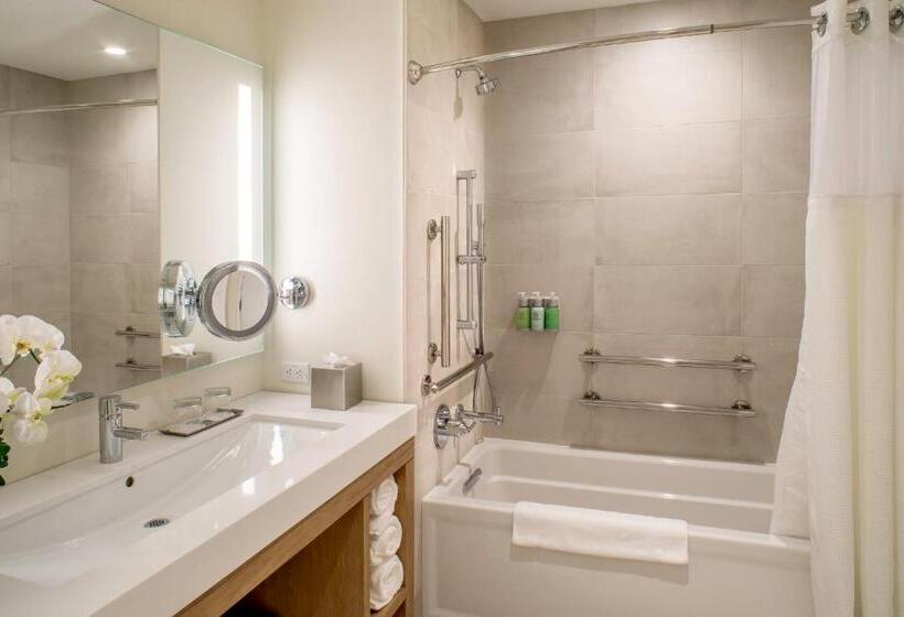 스탠다드 룸 킹사이즈 침대, Limelight Hotel Ketchum