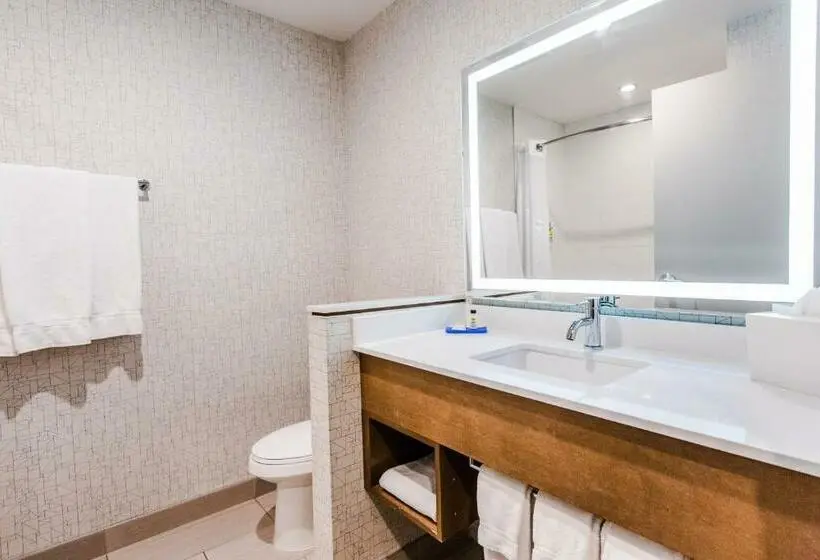スイート, Holiday Inn Express & Suites   West Edmonton Mall Area, An Ihg