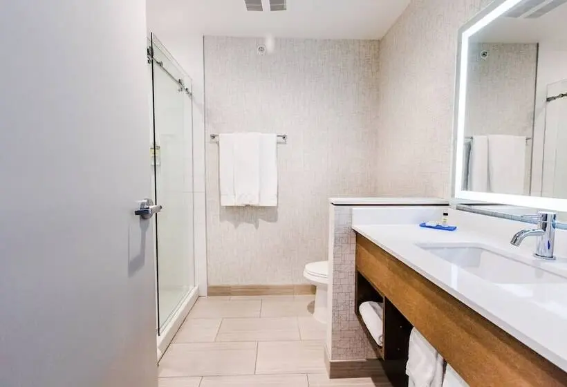スタンダードルーム, Holiday Inn Express & Suites   West Edmonton Mall Area, An Ihg