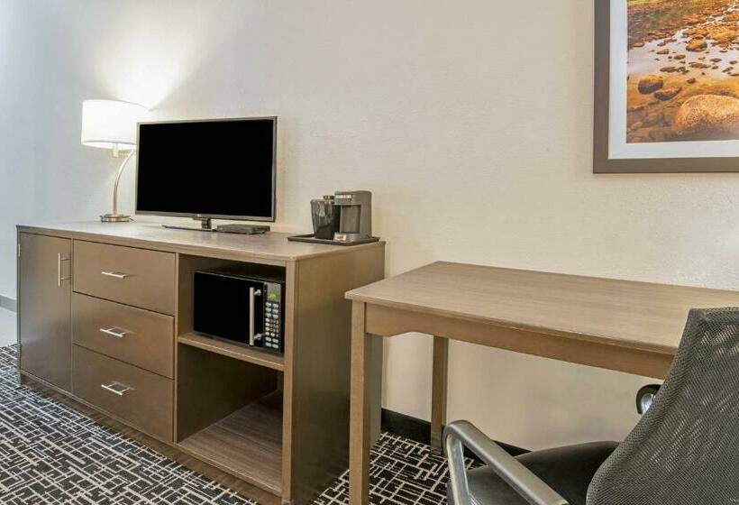 غرفة قياسية, La Quinta By Wyndham Weatherford Ok