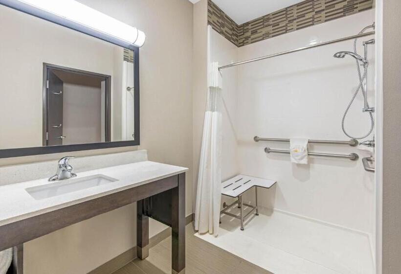 Номер Стандарт Кровать Кинг Адаптированный для Инвалидов, La Quinta By Wyndham Weatherford Ok