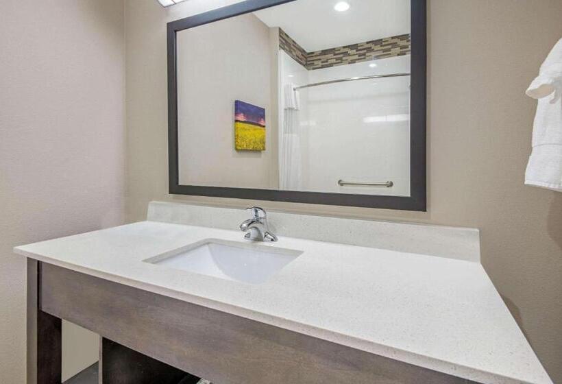 غرفة قياسية سرير كينج لذوى الإحتياجات الخاصة, La Quinta By Wyndham Weatherford Ok