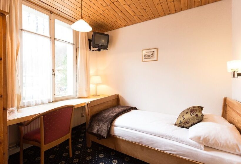 스탠다드 싱글 룸, Oberland