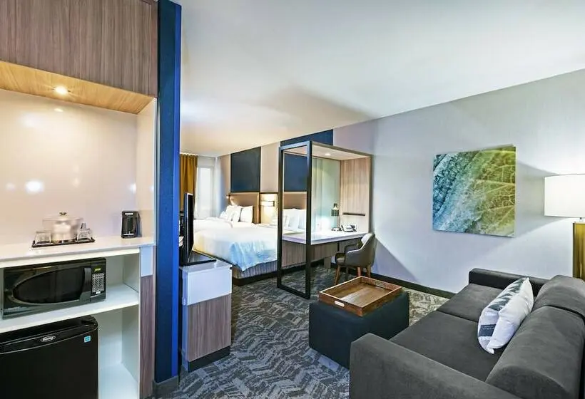Standard-studio, Springhill Suites By Marriott Tulsa At Tulsa Hills