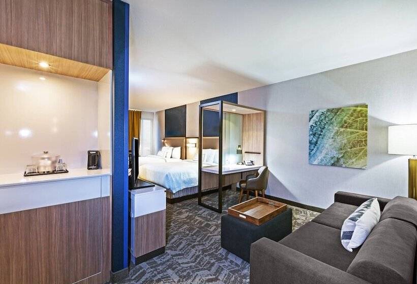 إستوديو قياسى, Springhill Suites By Marriott Tulsa At Tulsa Hills