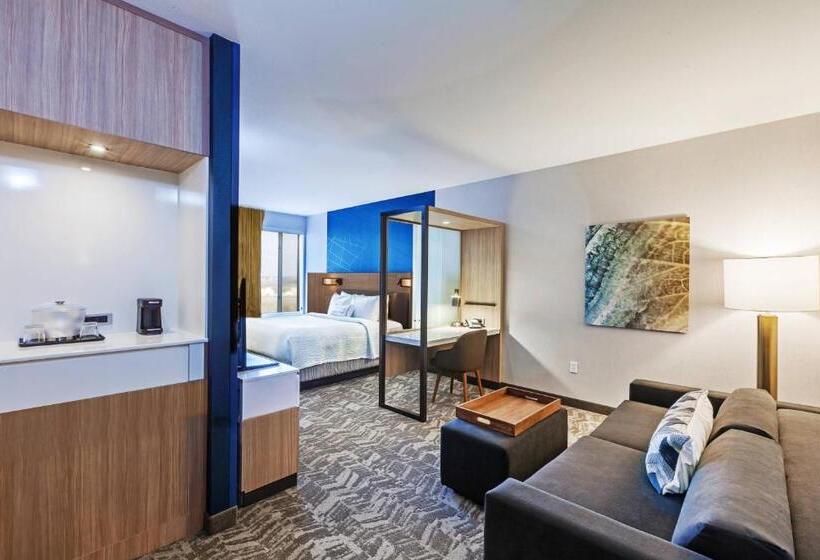 إستوديو قياسى سرير كينج, Springhill Suites By Marriott Tulsa At Tulsa Hills