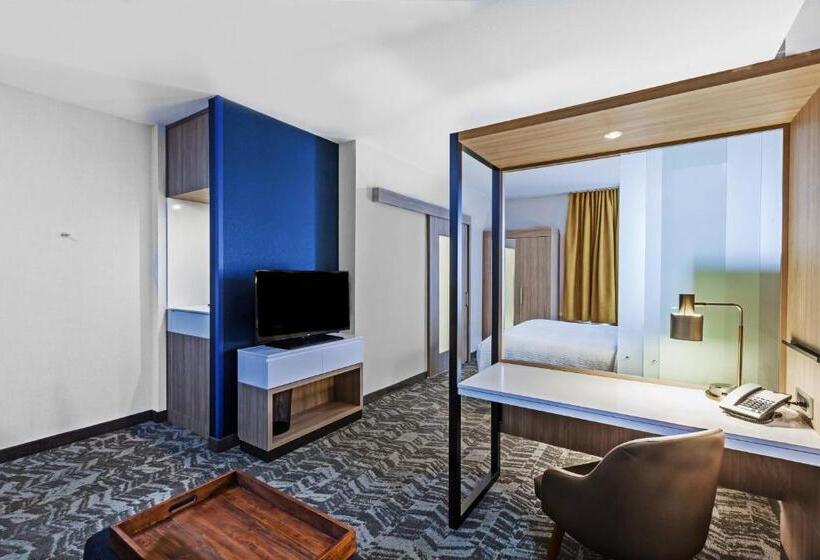 إستوديو قياسى سرير كينج, Springhill Suites By Marriott Tulsa At Tulsa Hills