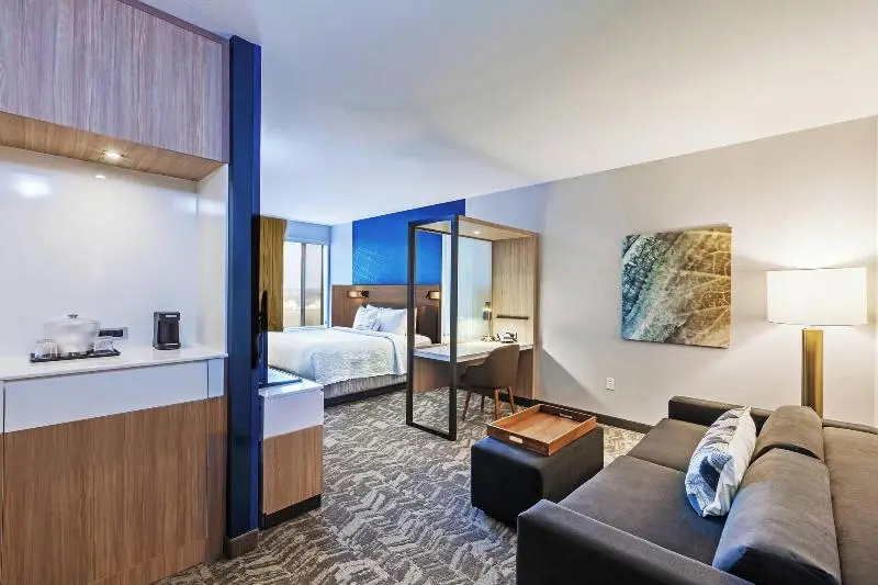Standard-studio King-vuode, Springhill Suites By Marriott Tulsa At Tulsa Hills