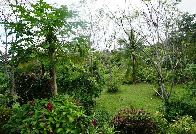 سوییت لوکس, Theview Camiguin