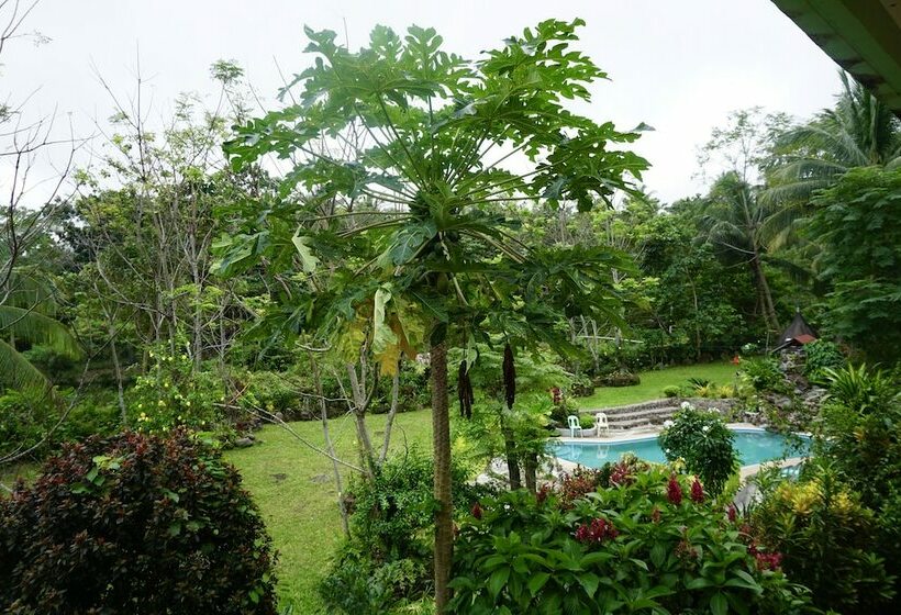 سوییت لوکس, Theview Camiguin