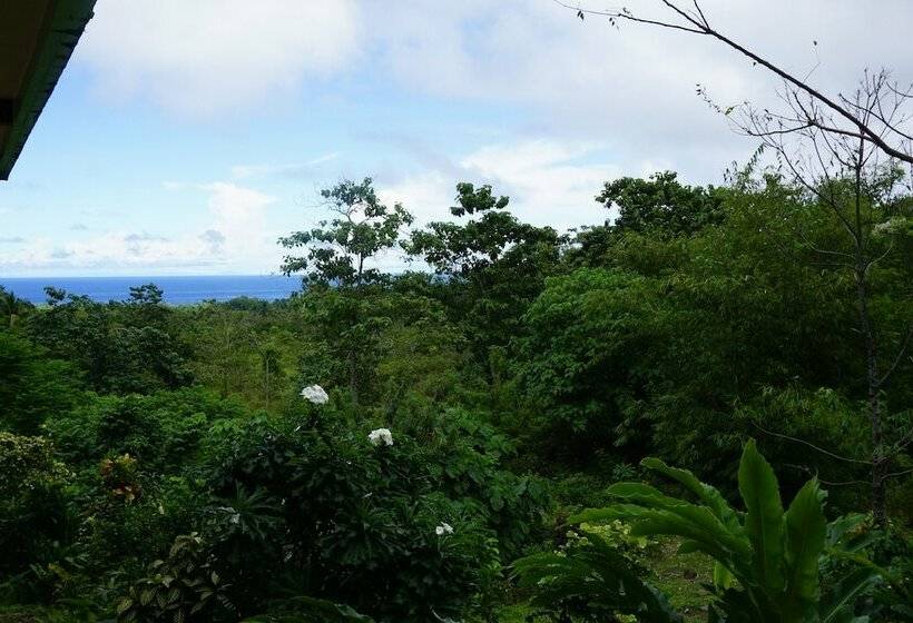 سوییت لوکس, Theview Camiguin