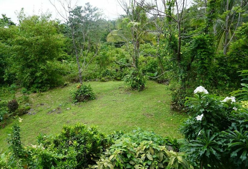 سوییت لوکس, Theview Camiguin