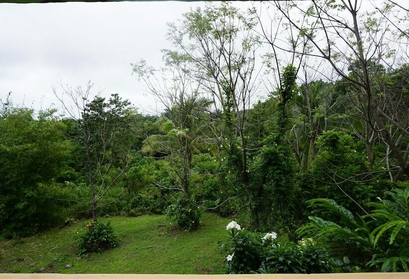 سوییت لوکس, Theview Camiguin