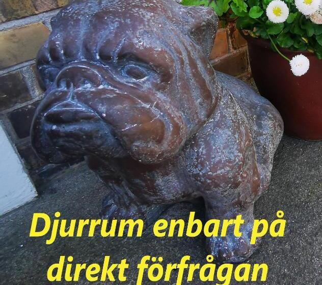 이코노이 4인룸, åhus B&b Och Vandrarhem