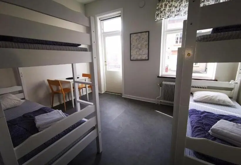 バスルーム共同エコノミー4人部屋, åhus B&b Och Vandrarhem