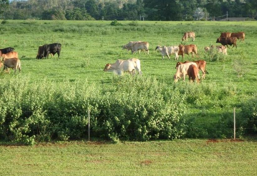 ２ベッドルームアパートメント, Nautilus Apartments