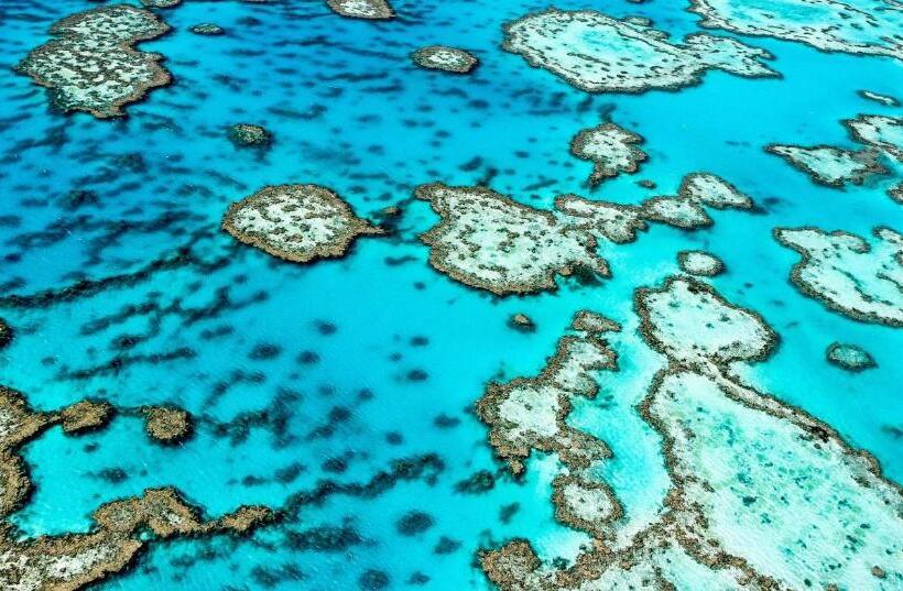 ２ベッドルームアパートメント, Nautilus Apartments