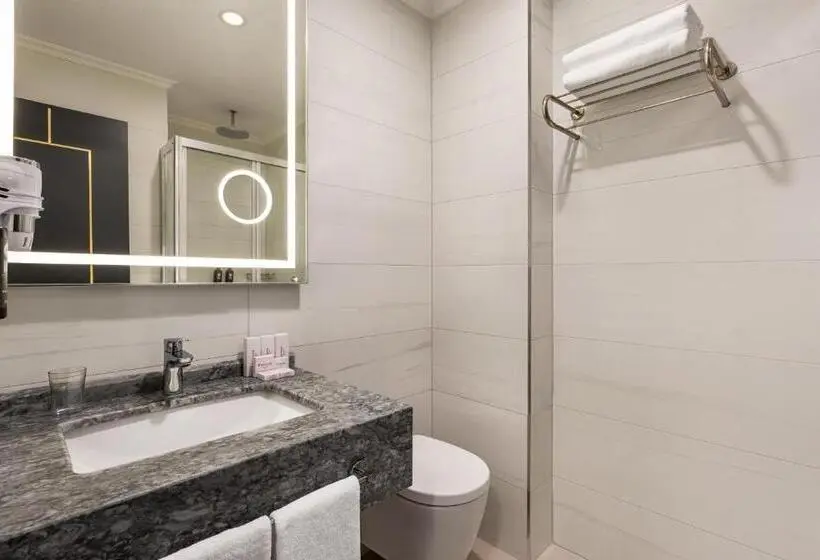 اتاق استاندارد برای معلولان, Ramada By Wyndham Istanbul Umraniye