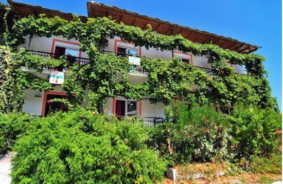 スタンダードトリプルルーム, Chrissafis