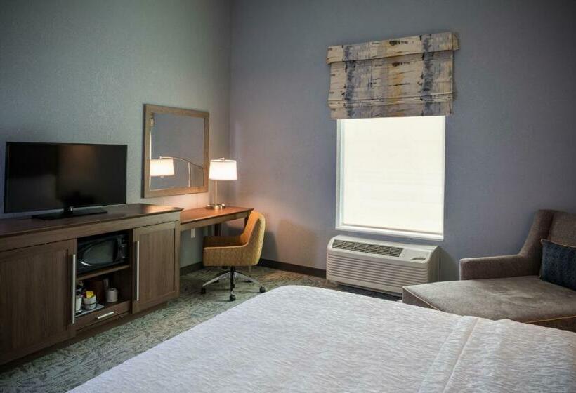 חדר סטנדרט עם מיטת קינג, Hampton Inn Atlantic City/absecon