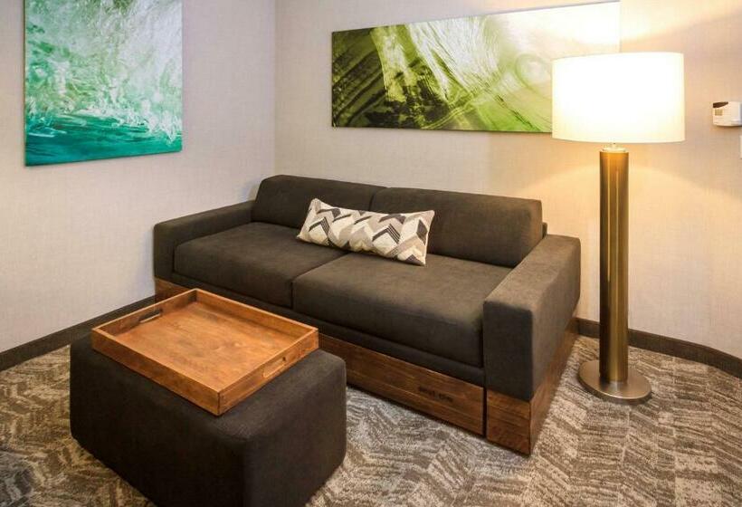 جناح سرير كينج, Springhill Suites By Marriott The Dunes On Monterey Bay