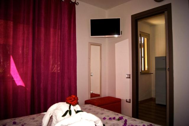 استودیوی استاندارد, Park Oasi Resort