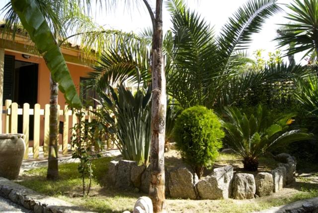 استودیوی استاندارد, Park Oasi Resort