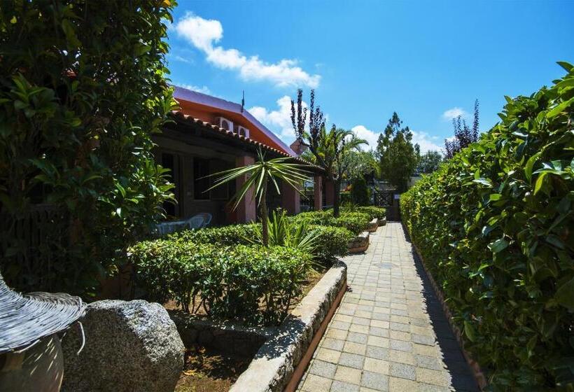 آپارتمان 2 خوابه, Park Oasi Resort