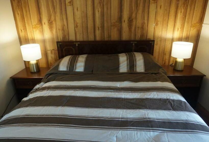 스탠다드 룸 킹사이즈 침대, Vacation Inn Motel In Fort Lauderdale