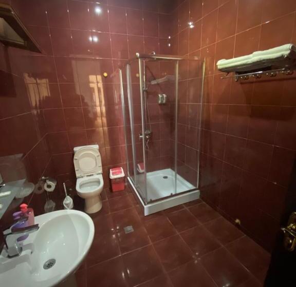 اتاق استاندارد, Ilia