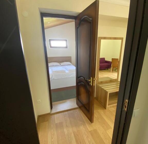 سوییت خانوادگی, Ilia