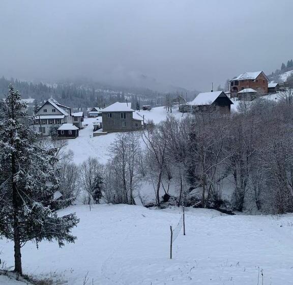 1 Sovrums Hus, ехо тростяну